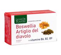 Boswellia Artiglio Diavolo Vitamine B2 B6 B9 60 Capsule