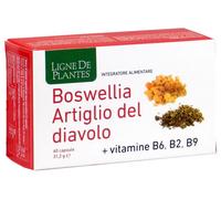 Natura Service Boswellia Artiglio del Diavolo Vitamine B2 B6 B9 60 capsule Per le articolazioni