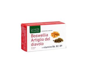 Boswellia Artiglio Diavolo Vitamine B2 B6 B9 60 Capsule