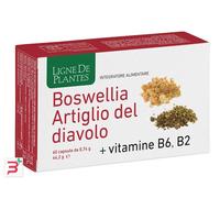 Natura Service Boswellia Artiglio del Diavolo Vitamine B2 B6 B9 60 capsule Per le articolazioni