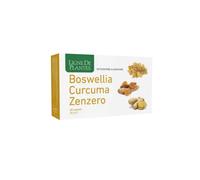 Boswellia Curcuma Zenzero 60 Capsule