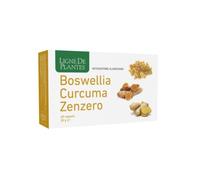 BOSWELLIA CURCUMA ZENZERO60CPS
