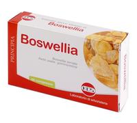 BOSWELLIA ES.SEC 60CPR 24G KOS