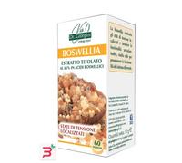 DR. GIORGINI Boswellia Estratto Titolato 60 pastiglie - Integratore Alimentare