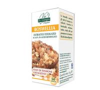 Boswellia Estratto Titolato 60 Pastiglie Giorgini