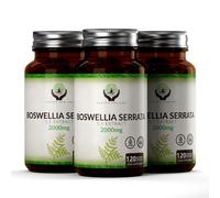 Boswellia Serrata | 120 Capsule 2000mg Estratto 5:1 Integratore Articolazioni