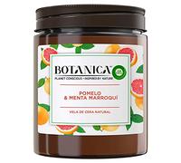 BOTANICA CANDLE grapefruit & mint 205 gr