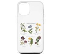 Botanica vintage - Sei fiori selvatici con nomi latini Custodia per iPhone 12/12 Pro