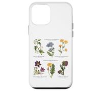 Botanica vintage - Sei fiori selvatici con nomi latini Custodia per iPhone 12 mini