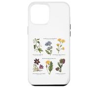 Botanica vintage - Sei fiori selvatici con nomi latini Custodia per iPhone 12 Pro Max
