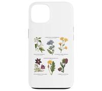 Botanica vintage - Sei fiori selvatici con nomi latini Custodia per iPhone 13