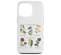 Botanica vintage - Sei fiori selvatici con nomi latini Custodia per iPhone 13 Pro