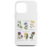 Botanica vintage - Sei fiori selvatici con nomi latini Custodia per iPhone 13 Pro Max