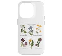 Botanica vintage - Sei fiori selvatici con nomi latini Custodia per iPhone 14 Pro