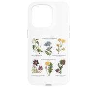 Botanica vintage - Sei fiori selvatici con nomi latini Custodia per iPhone 15 Pro