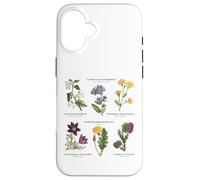 Botanica vintage - Sei fiori selvatici con nomi latini Custodia per iPhone 16