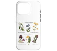 Botanica vintage - Sei fiori selvatici con nomi latini Custodia per iPhone 16 Pro