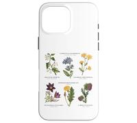 Botanica vintage - Sei fiori selvatici con nomi latini Custodia per iPhone 16 Pro Max