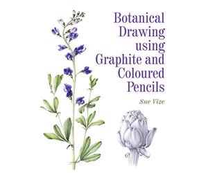 Botanical Drawing using Graphite and Coloured Pencils