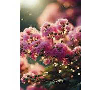 Botanical Gardens & Nature Journal