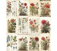 Botanical Pages Rice Paper, 8 x 10.5 inch - for Decoupage Cards Journal Crafts