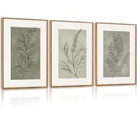 Botanical Sage Leaf Canvas Wall Art Set Of 3, Boho Nature Floral Greenery Wall Painting Prints For Bedroom Decor(40x60cmx3/Senza cornice)