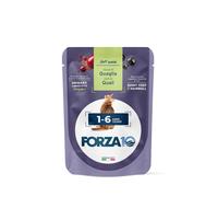 Forza 10 maintenance cat adult 1-6 anni anni quaglia wet pate' 80 g