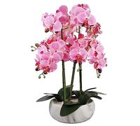 Botanik Fioriera in ceramica effetto marmo rosa, 60 cm