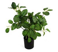 Botanik Pianta artificiale di Pothos variegata, 40 cm
