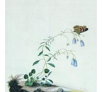 Botanist I: the Suicide Tree/II: a Ro (Vinyl LP)