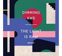 Botany - Dimming Awe: The Light Is Raw