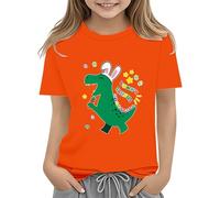 BOTCAM Easter Shirts for Toddler Boy Short Sleeve Tractor Bunny Tshirt for Kids Cotton Tee Tops 2 13 Years Outfit 1 Birthday, Colore: arancione., 12-13 Jahre