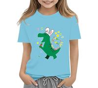 BOTCAM Easter Shirts for Toddler Boy Short Sleeve Tractor Bunny Tshirt for Kids Cotton Tee Tops 2 13 Years Regalo di nascita personalizzato, Celeste., 4-5 Jahre