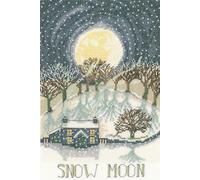 Bothy Threads - Kit per punto croce, motivo: luna e neve