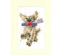 Bothy Threads Set di biglietti d'auguri a punto croce "Special Delivery", schema