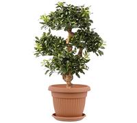 botle Vaso da fiori e sottovaso, rotondo, dimensioni: 45 cm x 35 cm, volume: 27 l, colore terracotta, plastica, 12 grandi vasi tradizionali
