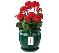 botle Vaso per fiori verde scuro, con sottovaso, rotondo, diametro 280 mm x altezza 305 mm, superficie lucida, in ceramica, moderno, glamour