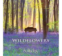 Botos Robi - Wildflowers - Solo Piano With Nature Sou