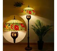 BOTOWI Lampada da Terra in Vetro Colorato Lampada da Lettura a Piedistallo 18X18X67 Pollici Lampada da Angolo Antica Arredo per Camera da Letto Soggiorno Ufficio,Rose