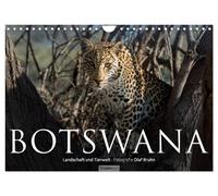 Botswana - Landschaft und Tierwelt (Wandkalender 2027 DIN A4 quer), CALVENDO Mon