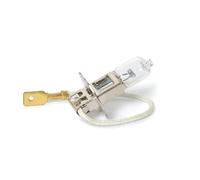 Bottari 30169 Lampadina Alogena per Fari Anteriori, 24V, 70W