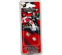 Bottari 60764 Coprivalvole in Alluminio Coppia di Moto, Argento