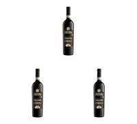 Bottega Amarone Valpolicella DOCG - 750ml (Confezione da 3)