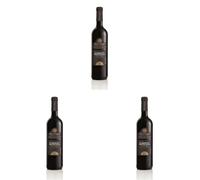 Bottega Cabernet Sauvignon Trevenezie Igt Vino Rosso - 750ml (Confezione da 3)