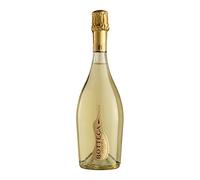 Bottega Il Vino dei Poeti Venezia DOC Spumante Brut - 750ml (Confezione da 6)