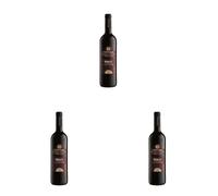 Bottega Merlot Trevenezie IGT Vino Rosso - 750ml (Confezione da 3)
