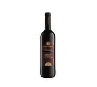 Bottega Merlot Trevenezie IGT Vino Rosso - 750ml (Confezione da 6)