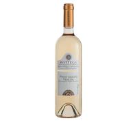 Bottega Pinot Grigio Venezia DOC - 750ml (Confezione da 6)