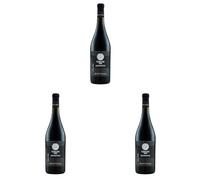 Bottega Sauvignon Collio DOC - 750ml (Confezione da 3)