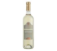 Bottega Sauvignon Trevenezie Igt - 750ml (Confezione da 6)